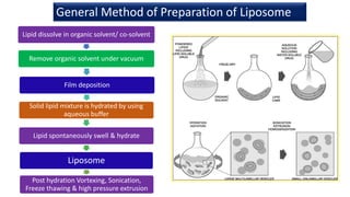 Liposomes | PPTX