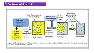 3. Double emulsion vesicle
 