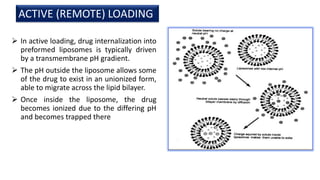  In active loading, drug internalization into
preformed liposomes is typically driven
by a transmembrane pH gradient.
 The pH outside the liposome allows some
of the drug to exist in an unionized form,
able to migrate across the lipid bilayer.
 Once inside the liposome, the drug
becomes ionized due to the differing pH
and becomes trapped there
ACTIVE (REMOTE) LOADING
 