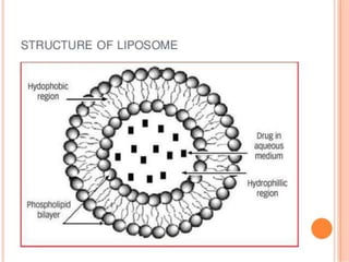 Liposomes | PPTX