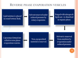 14
REVERSE PHASE EVAPORATION VESICLES
 