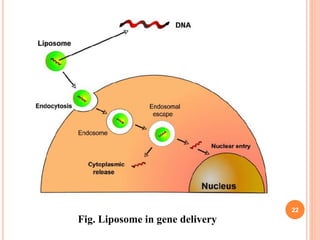 22
Fig. Liposome in gene delivery
 