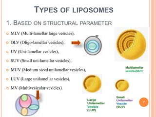 1. BASED ON STRUCTURAL PARAMETER
 MLV (Multi-lamellar large vesicles),
 OLV (Oligo-lamellar vesicles),
 UV (Uni-lamellar vesicles),
 SUV (Small uni-lamellar vesicles),
 MUV (Medium sized unilamellar vesicles),
 LUV (Large unilamellar vesicles),
 MV (Multivesicular vesicles).
7
TYPES OF LIPOSOMES
 