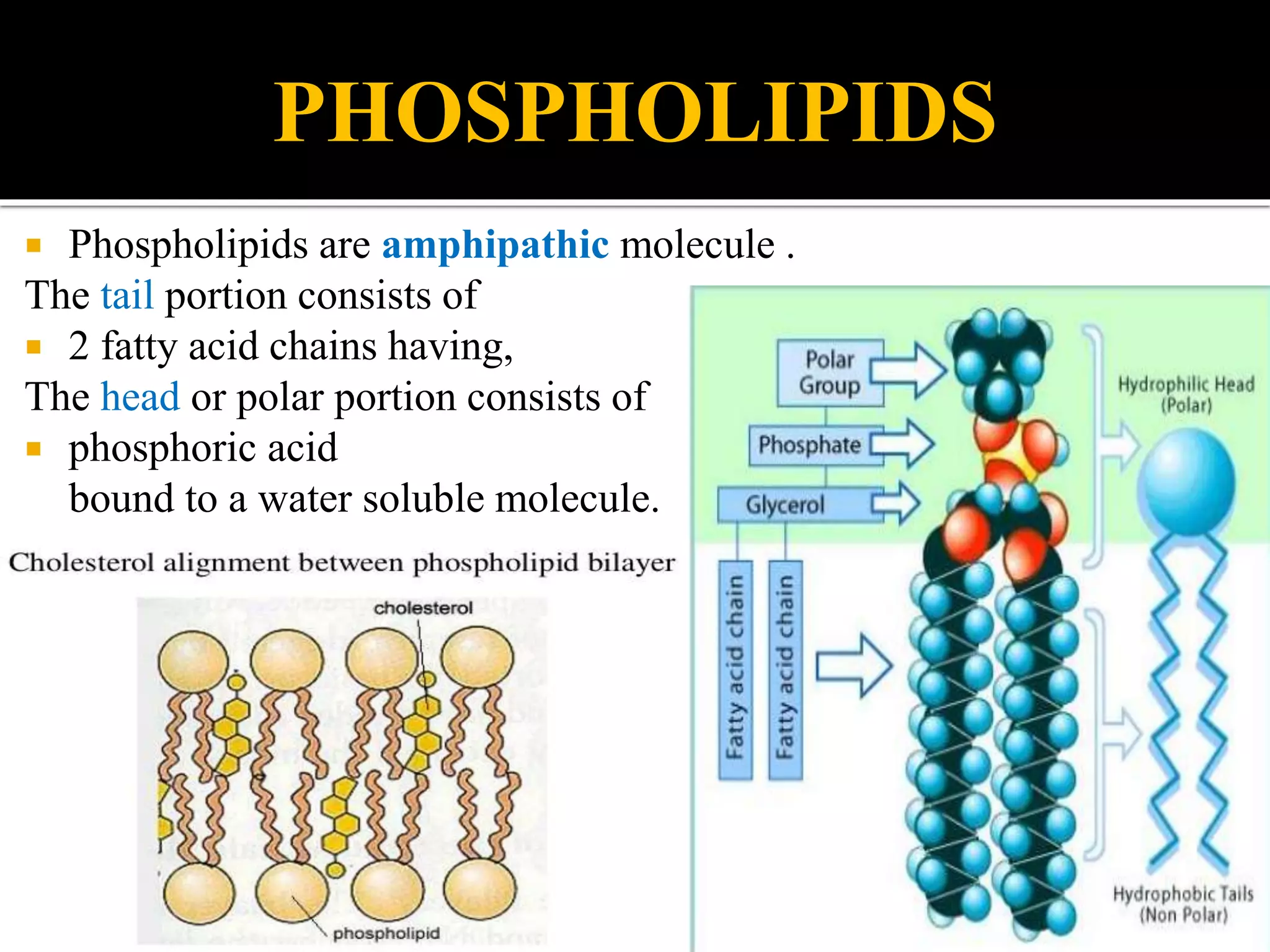 Liposomes | PPTX