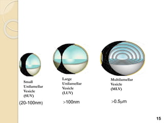 Small
Unilamellar
Vesicle
(SUV)
Large
Unilamellar
Vesicle
(LUV)
Multilamellar
Vesicle
(MLV)
(20-100nm) 100nm 0.5m
15
 
