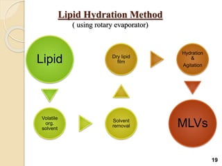 Lipid Hydration Method
( using rotary evaporator)
Lipid
Volatile
org.
solvent
Solvent
removal
Dry lipid
film
Hydration
&
Agitation
MLVs
19
 