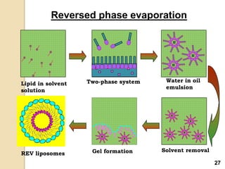 Lipid in solvent
solution
Two-phase system Water in oil
emulsion
Solvent removalGel formationREV liposomes
Reversed phase evaporation
27
 