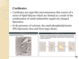 Cochleates
 Cochleates are cigar-like microstructures that consist of a
series of lipid bilayers which are formed as a result of the
condensation of small unilamellar negatively charged
liposomes.
 In the presence of calcium, the small phosphatidylserine
(PS) liposomes fuse and form large sheets.
42
 