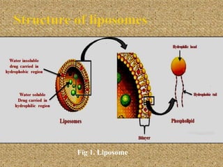 3
Fig 1. Liposome
 