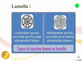 Types of vesicles based on lamella
Lamella :
10
 