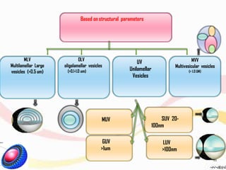 Based on structural parameters
MLV
Multilamellar Large
vesicles (>0.5 um)
OLV
oligolamellar vesicles
(>0.1-1.0 um)
UV
Unilamellar
Vesicles
MVV
Multivesicular vesicles
(> 1.0 UM)
MUV
GUV
>1um
SUV 20-
100nm
LUV
>100nm
11
 