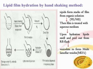 Lipids form stacks of film
from organic solution
(FE/HS)
Then film is treated with
aqueous medium
Upon hydration lipids
swell and peel out from
RB flask
vesiculate to form Multi
lamellar vesicles(MLVs)
18
 