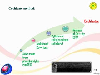 SUVs made
from
phosphatidylse
rine(PS)
Addition of
Ca++ ions
Cylindrical
rolls(cochleate
cylinders)
Removal
of Ca++by
EDTA
Cochleate method:
Cochleates
27
 