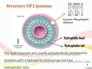 Hydrophillic head
Hydrophobic tail
The lipid moecules are usually phospholipids-amphipathic
moieties with a hydrophilic head group and two
hydrophobic tails.
Liposome =Phospholipid+
cholesterol
4
 