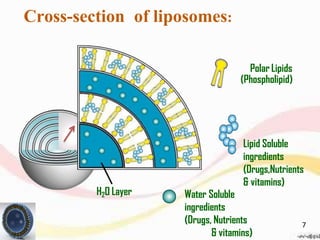 H2O Layer
Polar Lipids
(Phospholipid)
Water Soluble
ingredients
(Drugs, Nutrients
Lipid Soluble
ingredients
(Drugs,Nutrients
& vitamins)
Cross-section of liposomes:
& vitamins)
7
 