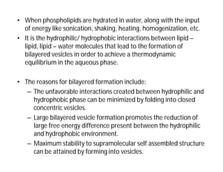 • When phospholipids are hydrated in water, along with the input
of energy like sonication, shaking, heating, homogenization, etc.
• It is the hydrophilic/ hydrophobic interactions between lipid –
lipid, lipid – water molecules that lead to the formation of
bilayered vesicles in order to achieve a thermodynamic
equilibrium in the aqueous phase.
• The reasons for bilayered formation include:
– The unfavorable interactions created between hydrophilic and
hydrophobic phase can be minimized by folding into closed
concentric vesicles.
– Large bilayered vesicle formation promotes the reduction of
large free energy difference present between the hydrophilic
and hydrophobic environment.
– Maximum stability to supramolecular self assembled structure
can be attained by forming into vesicles.
 