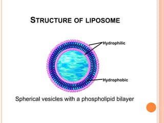 Structure of liposomeHydrophilicHydrophobicSpherical vesicles with a phospholipidbilayer