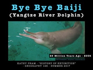B y e B y e B a i j i
( Ya n g t z e R i v e r D o l p h i n )
K AT H Y P H A M - “ H I ST O RY O F E X T I NC T I O N ”
- G E O G R A P H Y 12 6 - S U M M E R 2 017
P H O T O G R A P H : St e p h e n L e a t h e r w o o d
2 5 M i l l i o n Ye a r s A g o - 2 0 0 6
 