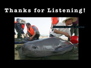 P H O T O G R A P H : G a o B a oy a n , C h i n a D a i ly
T h a n k s fo r L i s t e n i n g !
 