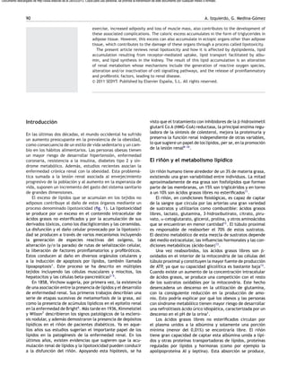 Lipotoxicidad | PDF