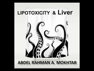LIPOTOXICITY & Liver
 