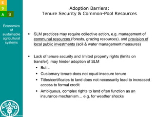 Lipper l constraints to adoption of salm and implications july 2011