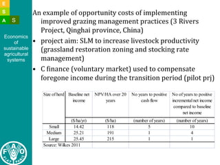 Lipper l constraints to adoption of salm and implications july 2011