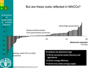 Lipper l constraints to adoption of salm and implications july 2011