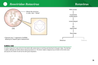 Lippincott Microcards_ Microbiology Flash Cards-LWW (2015).pdf
