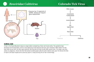 Lippincott Microcards_ Microbiology Flash Cards-LWW (2015).pdf