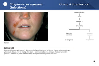 Lippincott Microcards_ Microbiology Flash Cards-LWW (2015).pdf ...