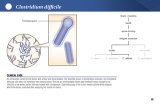 Lippincott Microcards_ Microbiology Flash Cards-LWW (2015).pdf ...