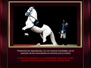 Presenciar los espectáculos  es una vivencia inolvidable, por la precisión de los movimientos en armonía con la música To attend the spectacles is an unforgettable experience, for the precision of the movements in harmony with the music 