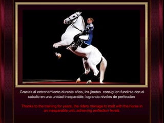Gracias al entrenamiento durante años, los jinetes  consiguen fundirse con el caballo en una unidad inseparable, logrando niveles de perfección . Thanks to the training for years, the riders manage to melt with the horse in an inseparable unit, achieving perfection levels. 
