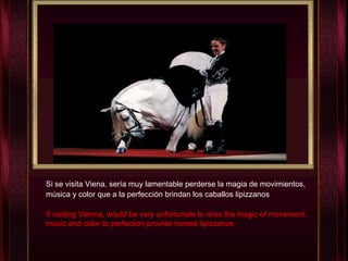Si se visita Viena, sería muy lamentable perderse la magia de movimientos, música y color que a la perfección brindan los caballos lipizzanos   If visiting Vienna, would be very unfortunate to miss the magic of movement, music and color to perfection provide horses lipizzanos 