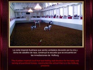 La corte imperial Austriaca que sentía verdadera devoción por la cría y doma de caballos de raza, construyó la escuela que se encuentra en  las inmediaciones de  Hofburg   The Austrian imperial court that was feeling real devotion for the baby and taming of puerblood horses, constructed the school that is in the Hofburg precincts 