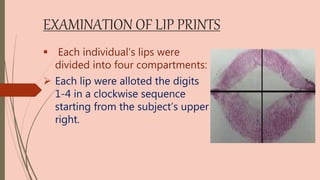 EXAMINATION OF LIP PRINTS
 Each individual’s lips were
divided into four compartments:
 Each lip were alloted the digits
1-4 in a clockwise sequence
starting from the subject’s upper
right.
 