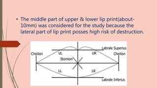 • The middle part of upper & lower lip print(about-
10mm) was considered for the study because the
lateral part of lip print posses high risk of destruction.
 