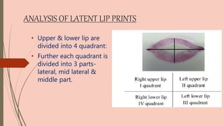 ANALYSIS OF LATENT LIP PRINTS
• Upper & lower lip are
divided into 4 quadrant:
• Further each quadrant is
divided into 3 parts-
lateral, mid lateral &
middle part.
 