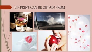 LIP PRINT CAN BE OBTAIN FROM
 