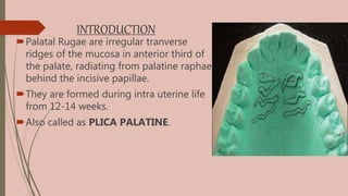 INTRODUCTION
Palatal Rugae are irregular tranverse
ridges of the mucosa in anterior third of
the palate, radiating from palatine raphae
behind the incisive papillae.
They are formed during intra uterine life
from 12-14 weeks.
Also called as PLICA PALATINE.
 