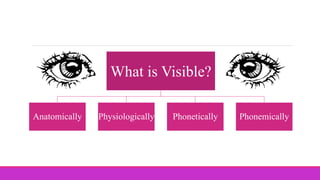 What is Visible?
Anatomically Physiologically Phonetically Phonemically
 