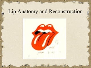 Lip Anatomy and Reconstruction
 