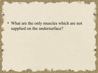 • What are the only muscles which are not
  supplied on the undersurface?
 