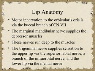 Lip Anatomy
• Motor innervation to the orbicularis oris is
  via the buccal branch of CN VII
• The marginal mandibular nerve supplies the
  depressor muscles
• These nerves run deep to the muscles
• The trigeminal nerve supplies sensation to
  the upper lip via the superior labial nerve, a
  branch of the infraorbital nerve, and the
  lower lip via the mental nerve
 