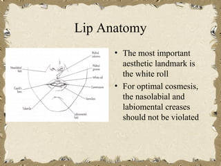 Lip Anatomy
      • The most important
        aesthetic landmark is
        the white roll
      • For optimal cosmesis,
        the nasolabial and
        labiomental creases
        should not be violated
 