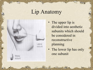 Lip Anatomy
      • The upper lip is
        divided into aesthetic
        subunits which should
        be considered in
        reconstructive
        planning
      • The lower lip has only
        one subunit
 