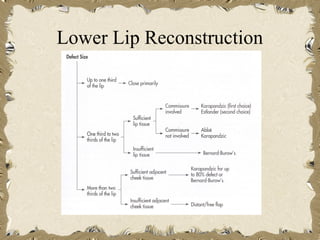 Lower Lip Reconstruction
 