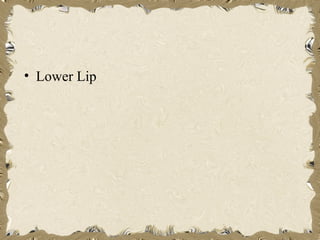 • Lower Lip
 