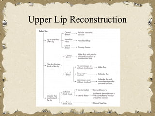 Upper Lip Reconstruction
 